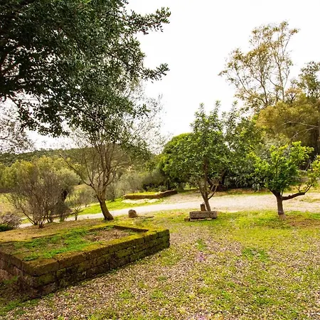Villa Alice