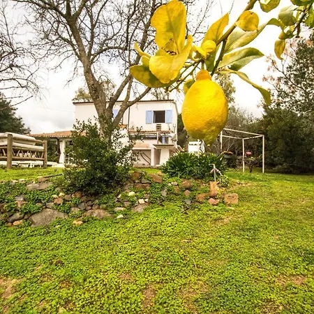 Villa Alice Castiadas
